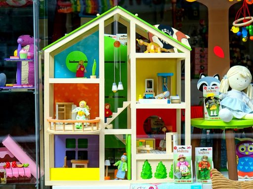Interieur van een lokale speelgoedwinkel met houten speelgoed en een uitnodigende inrichting